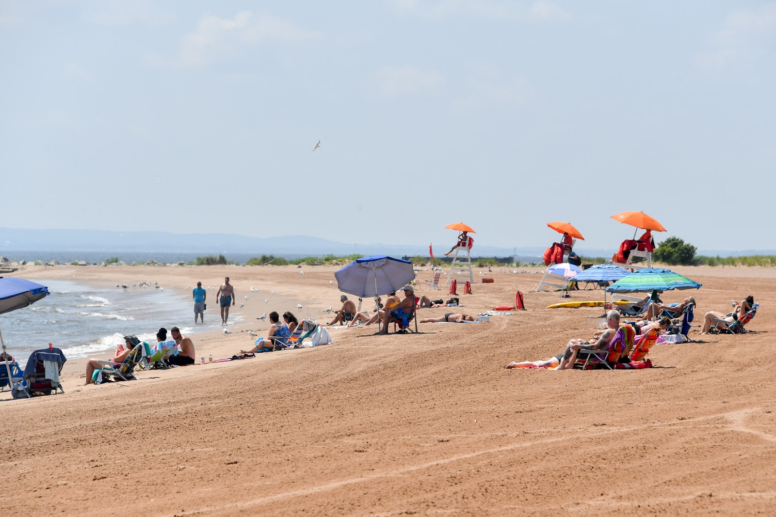 New Dorp Beach的照片 带有长直海岸