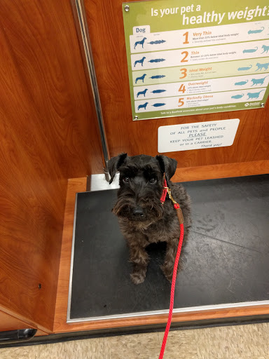 Pet Supply Store «PetSmart», reviews and photos, 98 Providence Hwy, East Walpole, MA 02032, USA