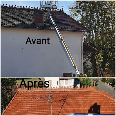 MP RENOVATION Peintre en Bâtiments, Couvreur, Démoussage toitures à Saint-Jean-d'Angély