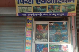 Shobhit Fish Aquarium Shop 🤝 image