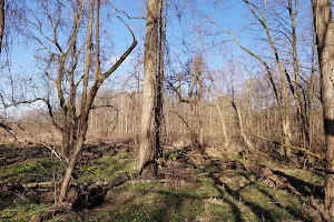 Forrest Nature Preserve image