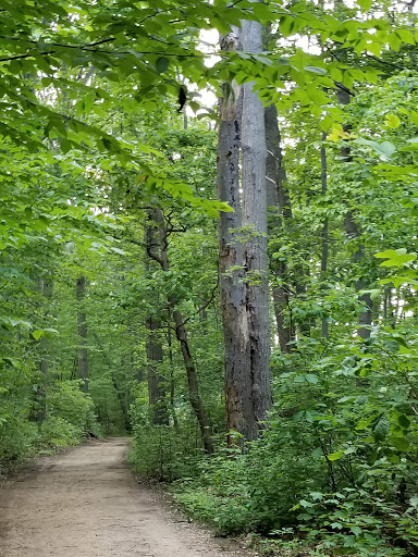 Pet Supply Store «PetSmart», reviews and photos, 310 NJ-36, West Long Branch, NJ 07764, USA