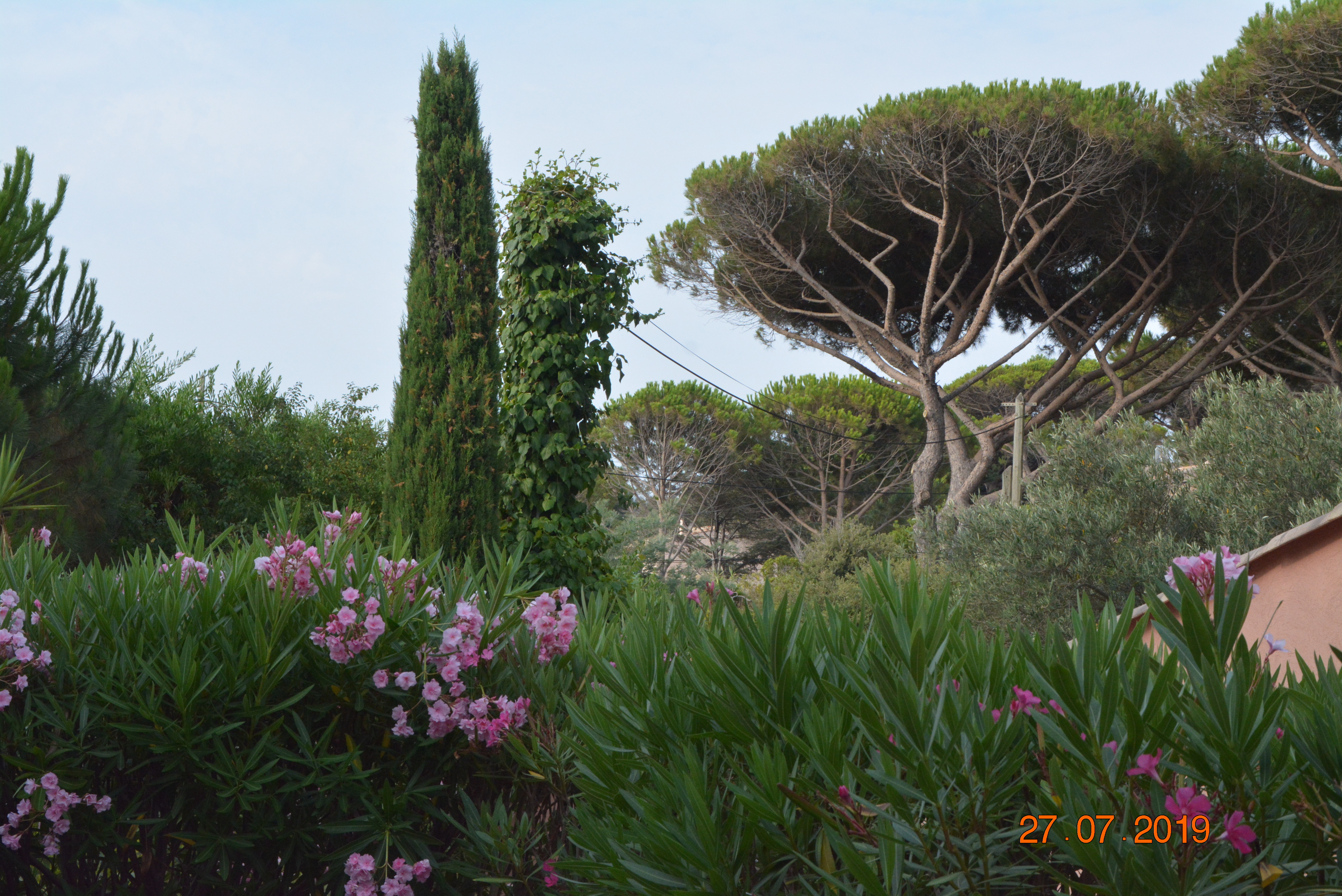 Photo n° 1 de l'avis de Andrej.e fait le 09/08/2019 à 18:04