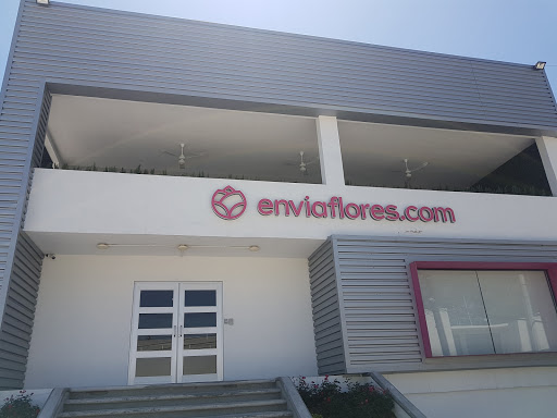 EnviaFlores.com - Monterrey