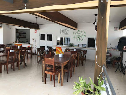 Suculenta Bacalar - calle 8 #60 X Av 5 y Calle 6, Magisterial, 77930 Bacalar, Q.R., Mexico