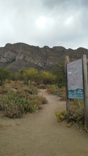 Tourist Attraction «Linda Vista Trail», reviews and photos, 730 E Linda Vista Rd, Oro Valley, AZ 85737, USA