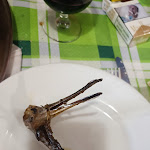 Photo n°11 de l'avis de Luca.i fait le 05/05/2023 à 22:05 sur le  Da Angelino e Peppa - Torta al Testo del Monte Peglia à Ospedaletto