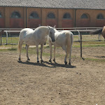 Photo n°1 de l'avis de lia.o fait le 28/07/2020 à 09:00 sur le  Casale La Sterpaia · Hotel à Pisa