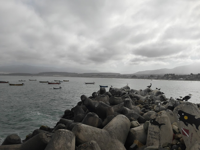 Muelle Los Vilos