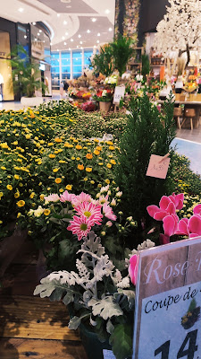 Fleuriste rose tagada à Pornic