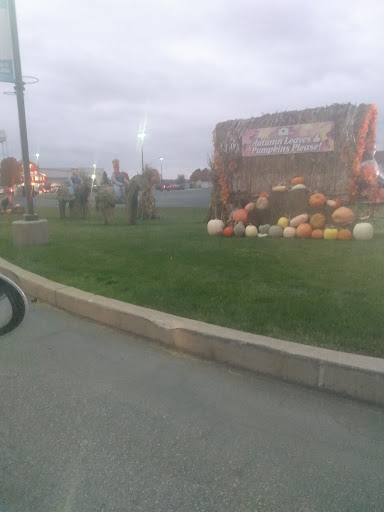 Event Venue «Shipshewana Event Center», reviews and photos, 760 S Van Buren St, Shipshewana, IN 46565, USA