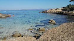 Platja Calo de ses Lleonardes'in fotoğrafı vahşi alan