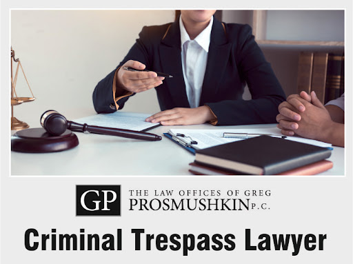 Law Firm «Law Offices of Greg Prosmushkin, P.C.», reviews and photos