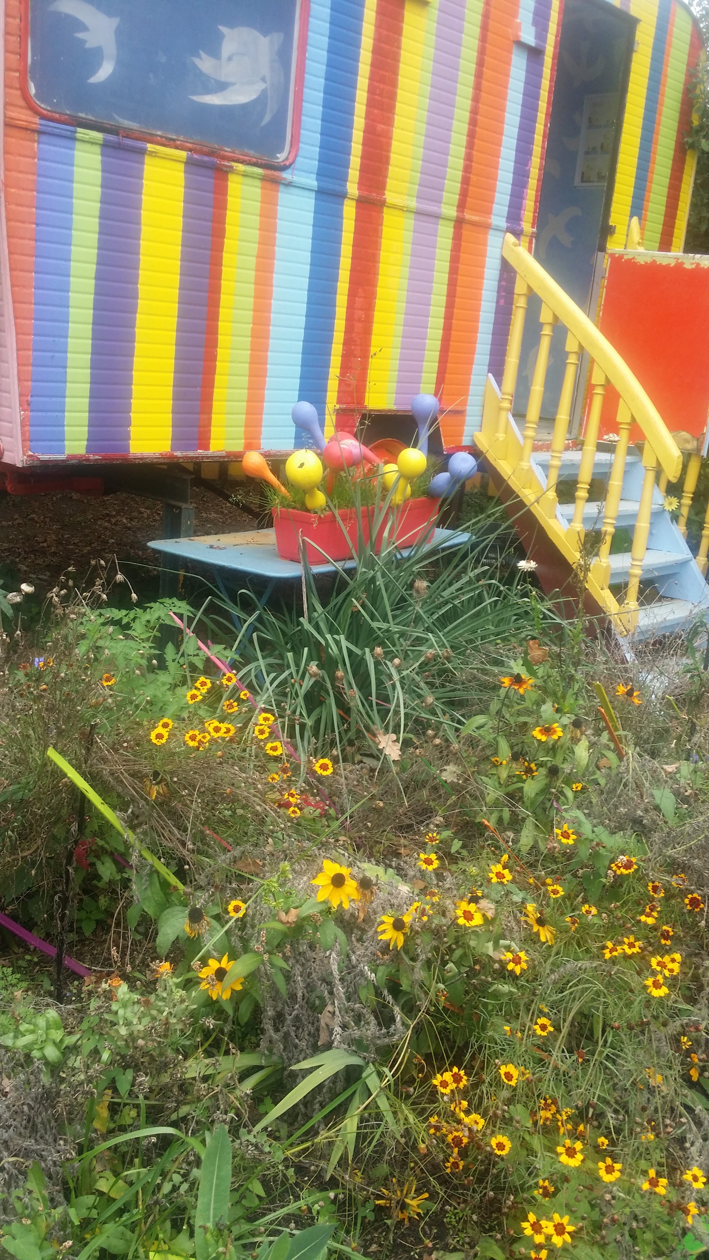 Photo n° 39 de l'avis de Alain.o fait le 05/10/2019 à 14:06