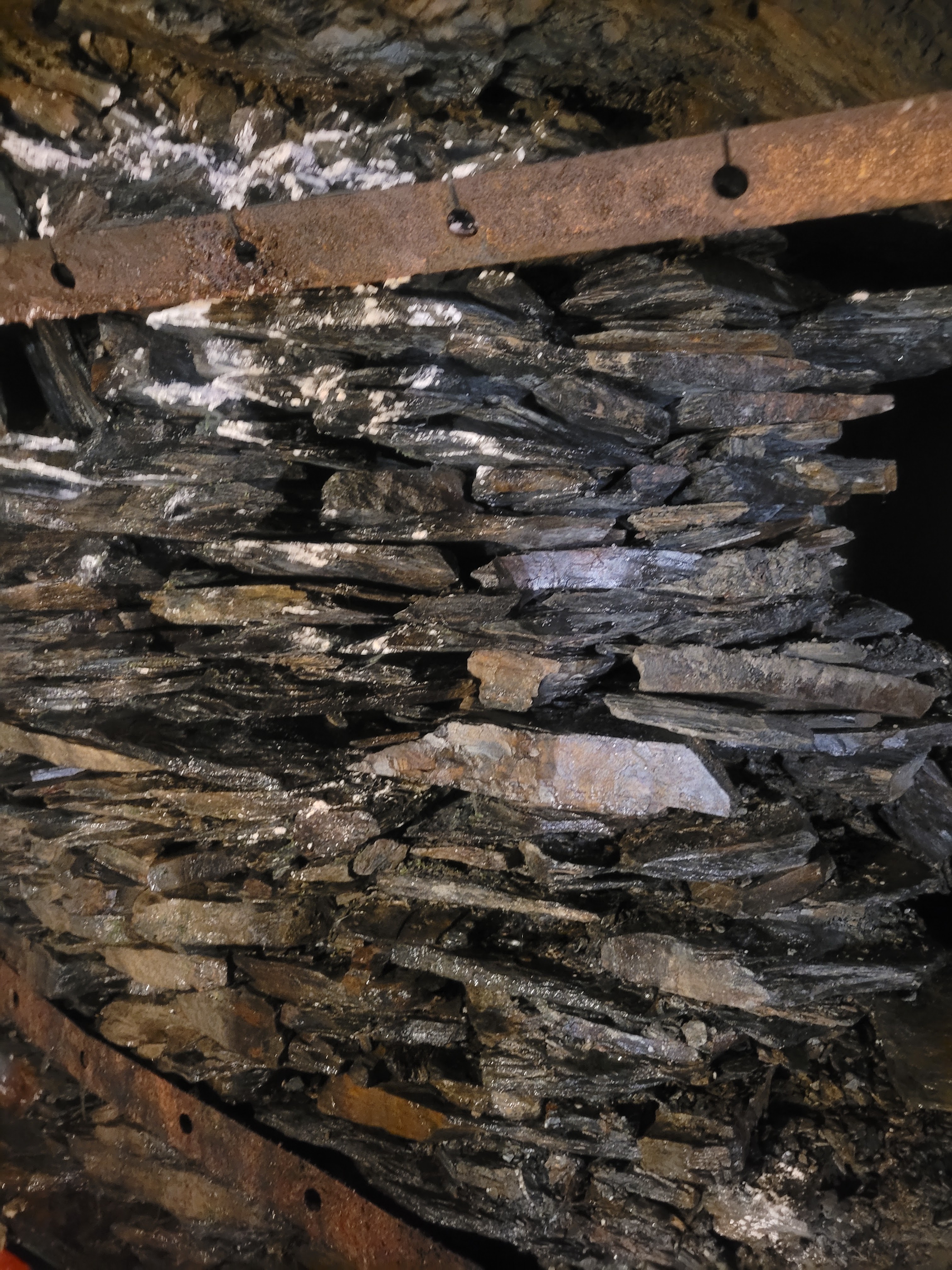 Photo n° 11 de l'avis de YzabelleD. fait le 13/08/2022 à 22:46