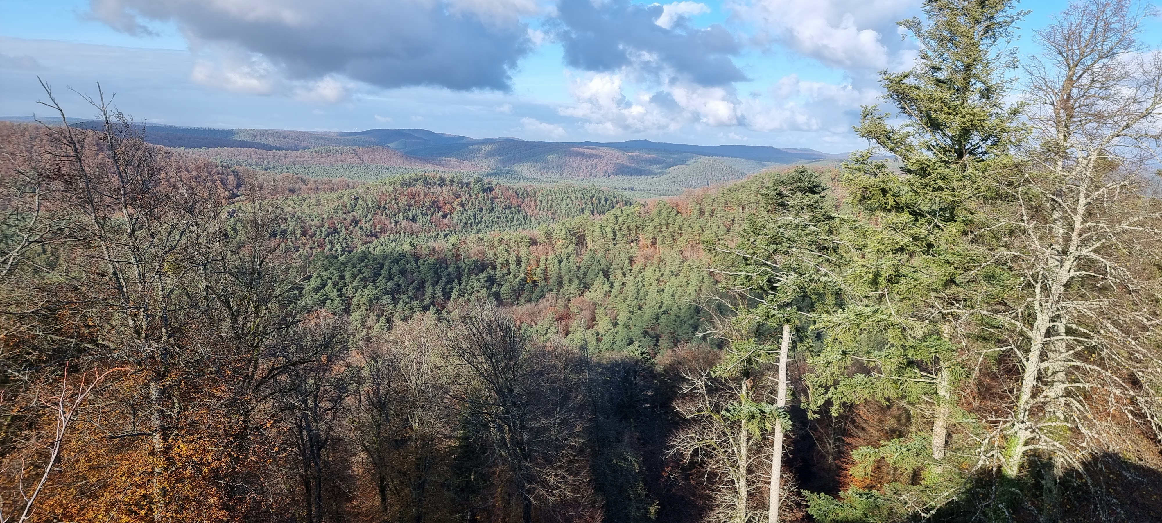 Photo n° 2 de l'avis de Véro.c fait le 14/11/2021 à 18:14