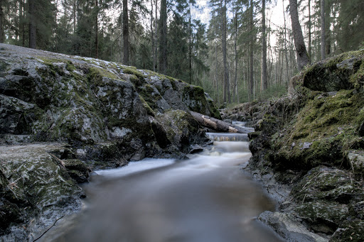 Tussinkoski