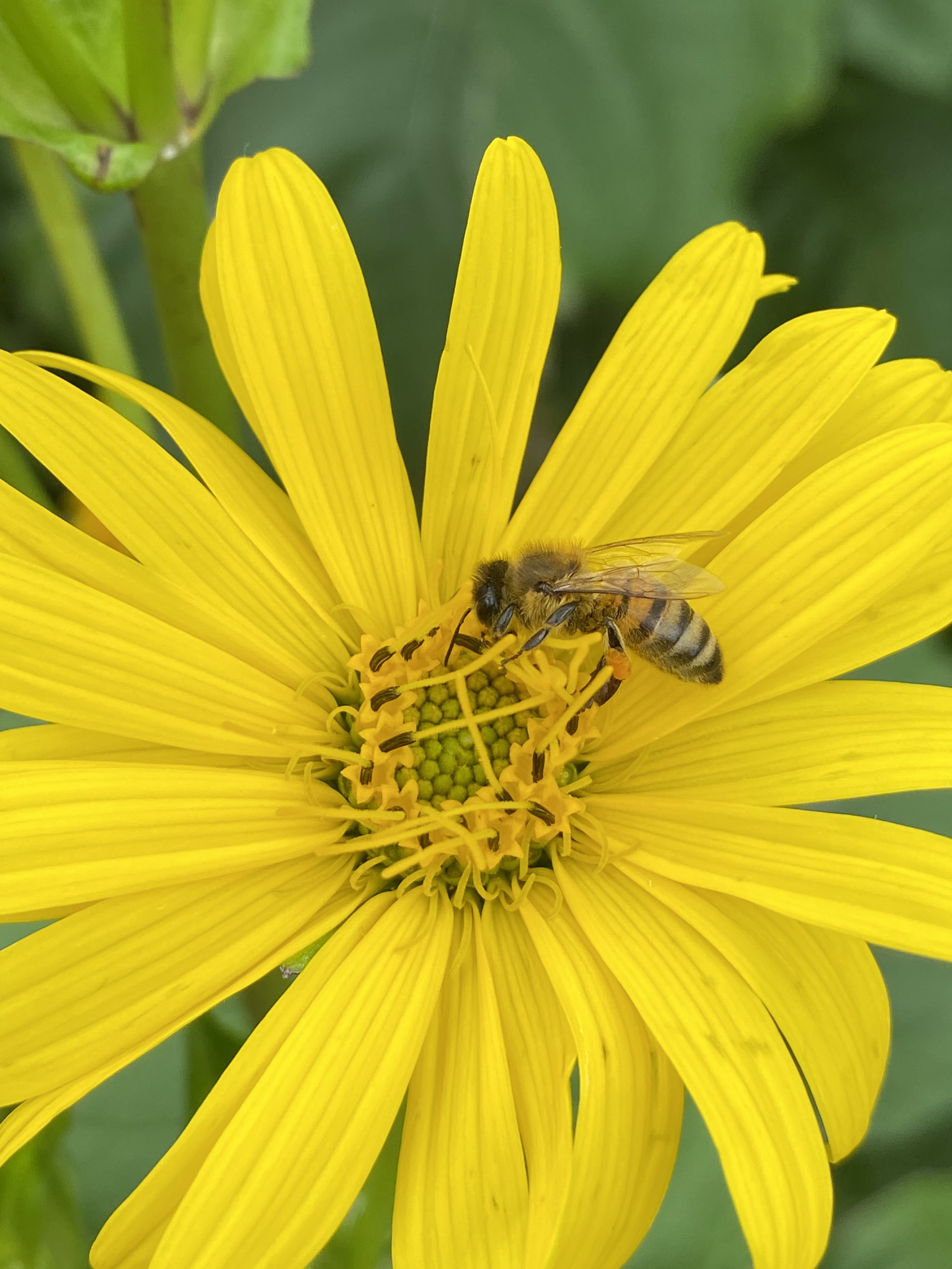 Photo n° 2 de l'avis de Bryan.o fait le 13/08/2023 à 15:04