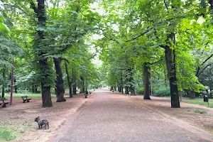 Park Generała Władysława Andersa image