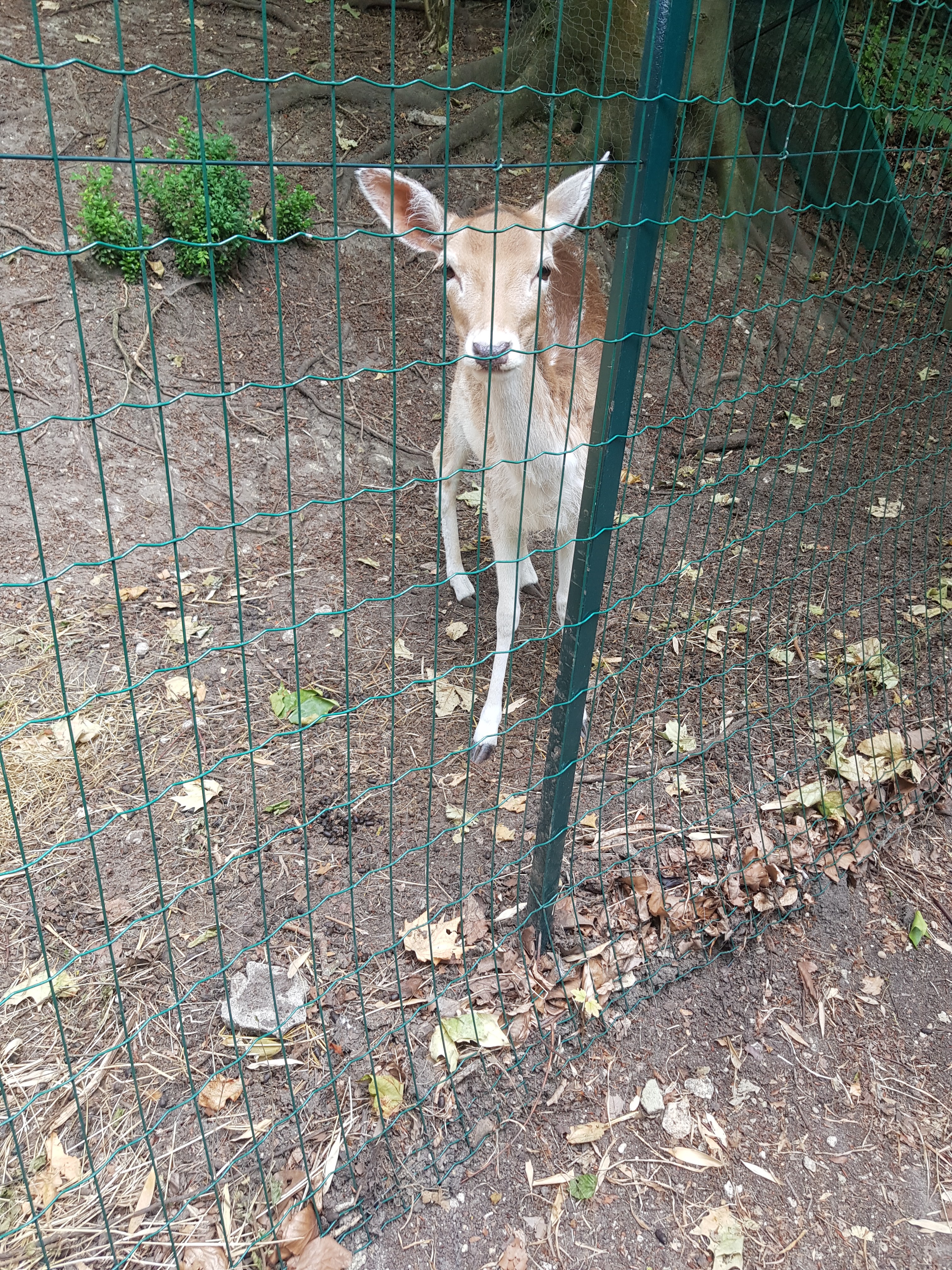 Photo n° 1 de l'avis de sandie.a fait le 25/06/2020 à 12:58