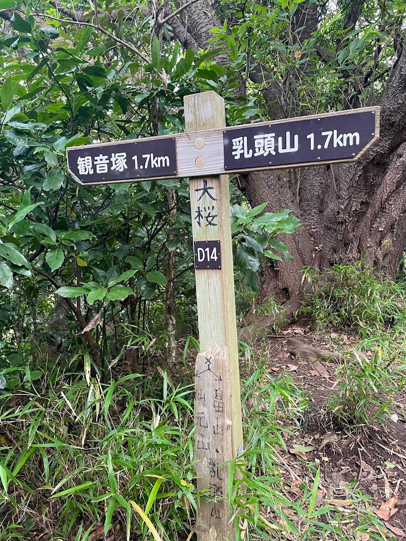 二子山山系ハイキングコース(大桜)