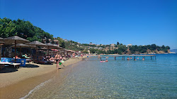 Foto di Spiaggia di Achladies con baia spaziosa