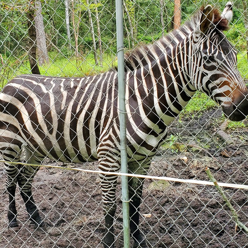 Lynnwood Park Zoo