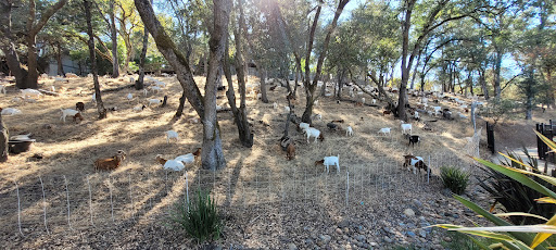 Tennis Court «Rollingwood Athletic Club», reviews and photos, 9373 Winding Oak Dr, Fair Oaks, CA 95628, USA