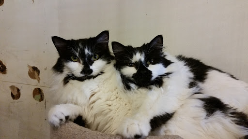 Pet Store «Next to Nature», reviews and photos, 4543 California Ave SW, Seattle, WA 98116, USA