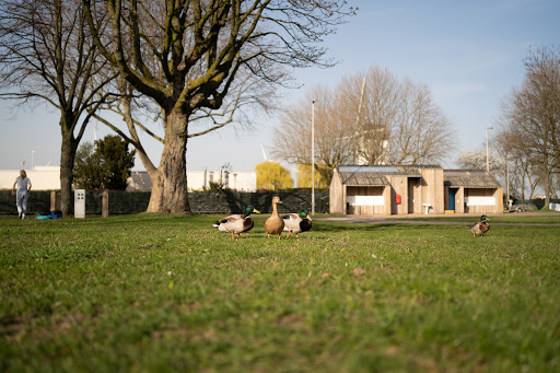 Le camping de la ville d'Anvers