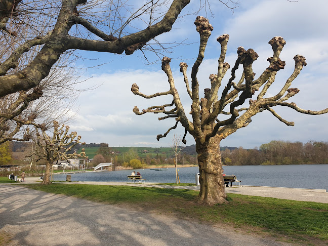 Kommentare und Rezensionen über Strandbad Sursee