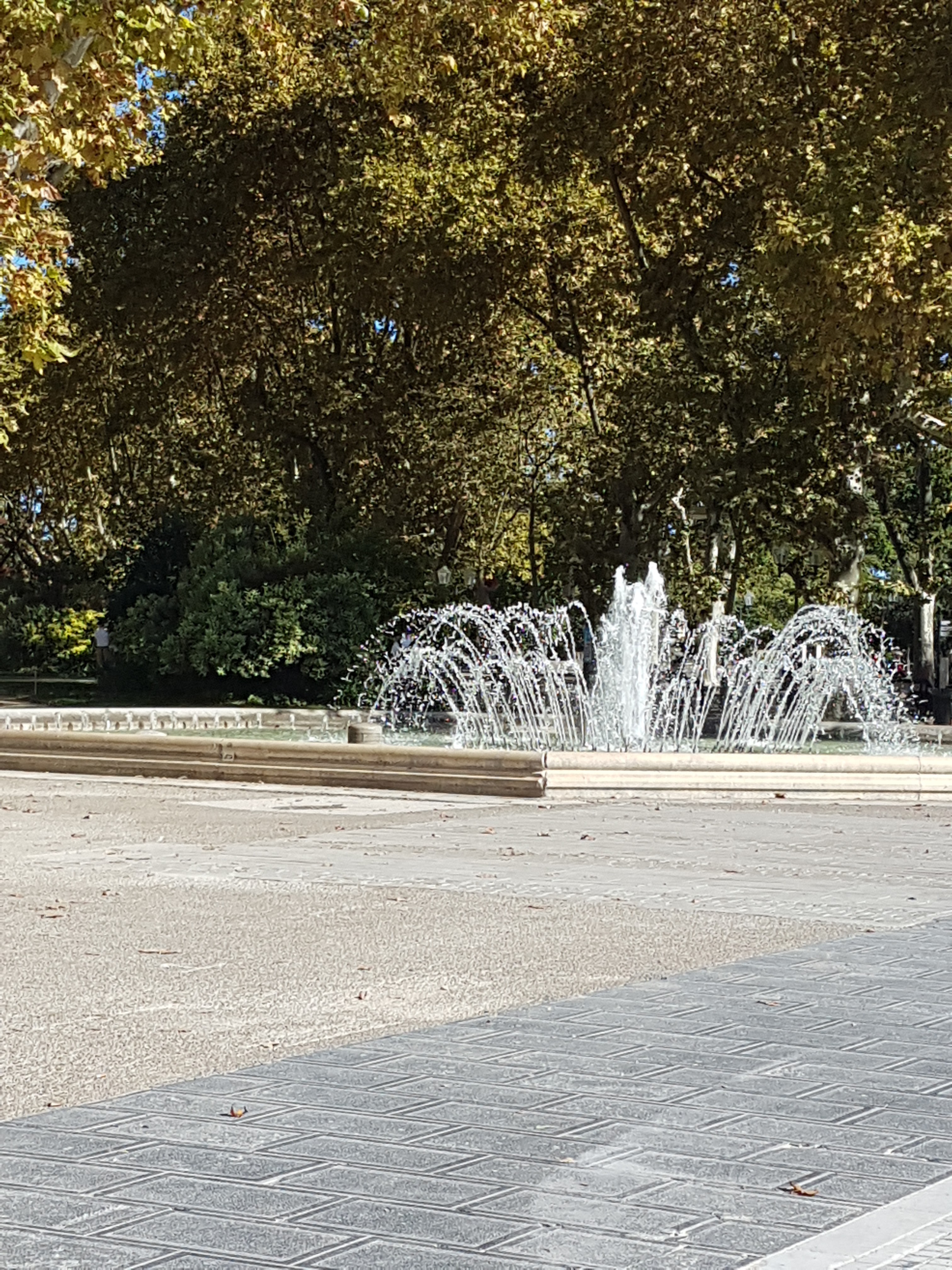 Photo n° 2 de l'avis de N.A fait le 03/10/2022 à 07:26