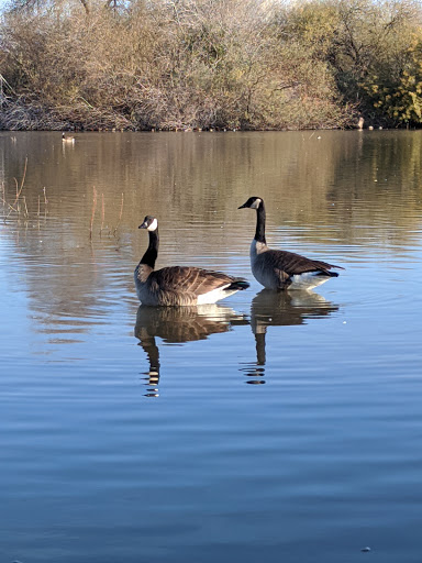 National Reserve «Riparian Preserve at Water Ranch», reviews and photos, 2757 E Guadalupe Rd, Gilbert, AZ 85234, USA