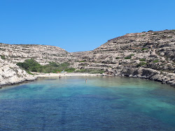 Spiaggia di Cala Galera'in fotoğrafı vahşi alan
