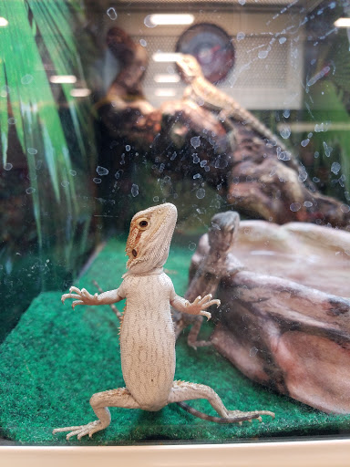 Pet Supply Store «PetSmart», reviews and photos, 14290 Plymouth Ave, Burnsville, MN 55337, USA