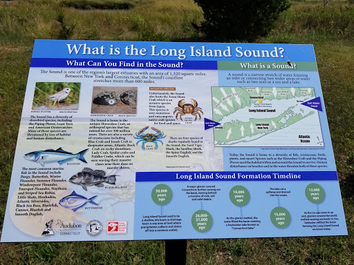 Nature Preserve «Sandy Point Bird Sanctuary», reviews and photos, Beach St, West Haven, CT 06516, USA