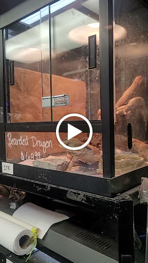 Pet Store «Moby Dick Pet Store Inc», reviews and photos, 3700 Sashabaw Rd, Waterford Twp, MI 48329, USA