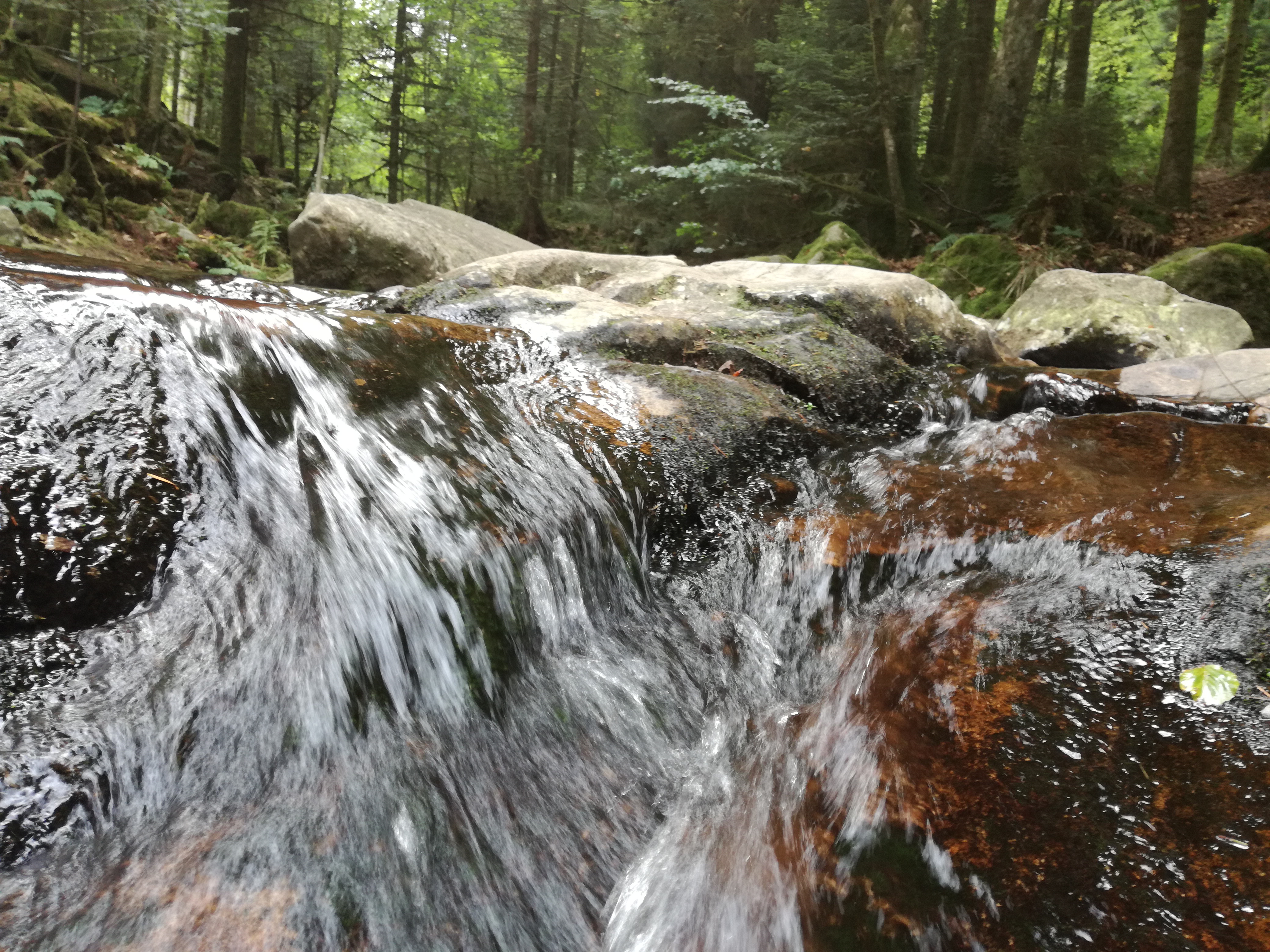 Photo n° 2 de l'avis de Fabrice.e fait le 02/09/2018 à 12:55