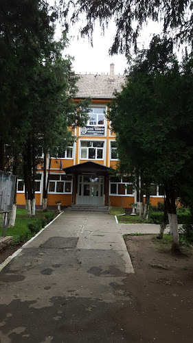 COLEGIUL TEHNIC ALEXANDRU ROMAN - Școala de șoferi