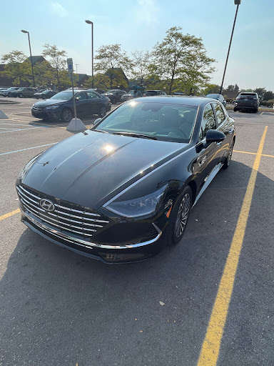 Shane's Auto Detail LLC | Mobile Detailing en South Lyon