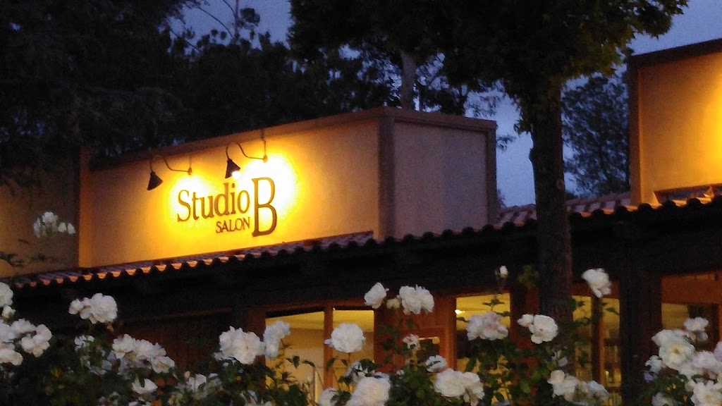 Studio B Salon 91901