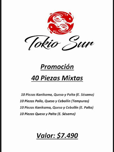 Tokio Sur 3 - Maipú