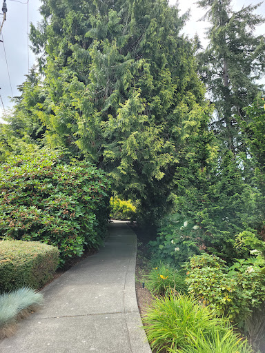 Park «Clyde Beach Park», reviews and photos, 2 92nd Ave NE, Bellevue, WA 98004, USA