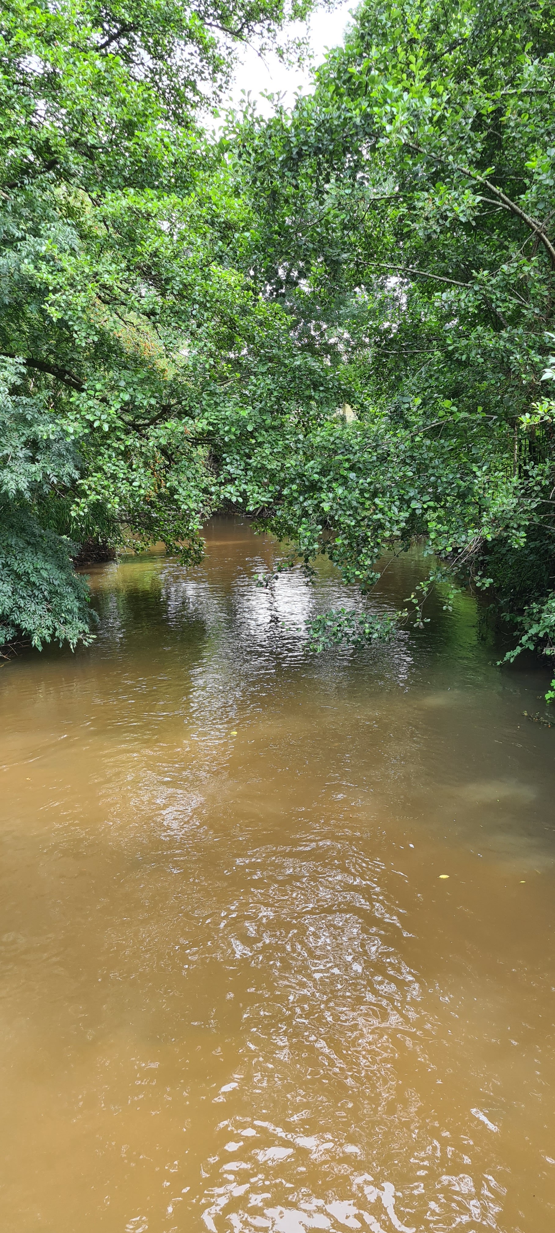 Photo n° 1 de l'avis de Carine.e fait le 11/07/2021 à 10:50