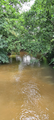 Parc de Pélissey à Gradignan