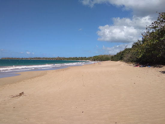 Plage de Cluny