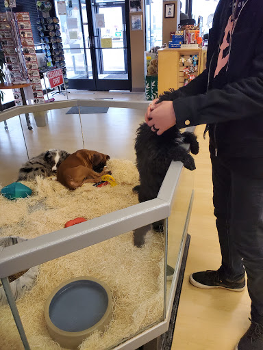 Pet Store «Perfect Pets», reviews and photos, 6840 S University Blvd #410, Centennial, CO 80122, USA