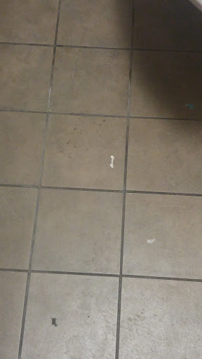 Gym «24 Hour Fitness», reviews and photos, 1610 Crane Ct, San Jose, CA 95112, USA