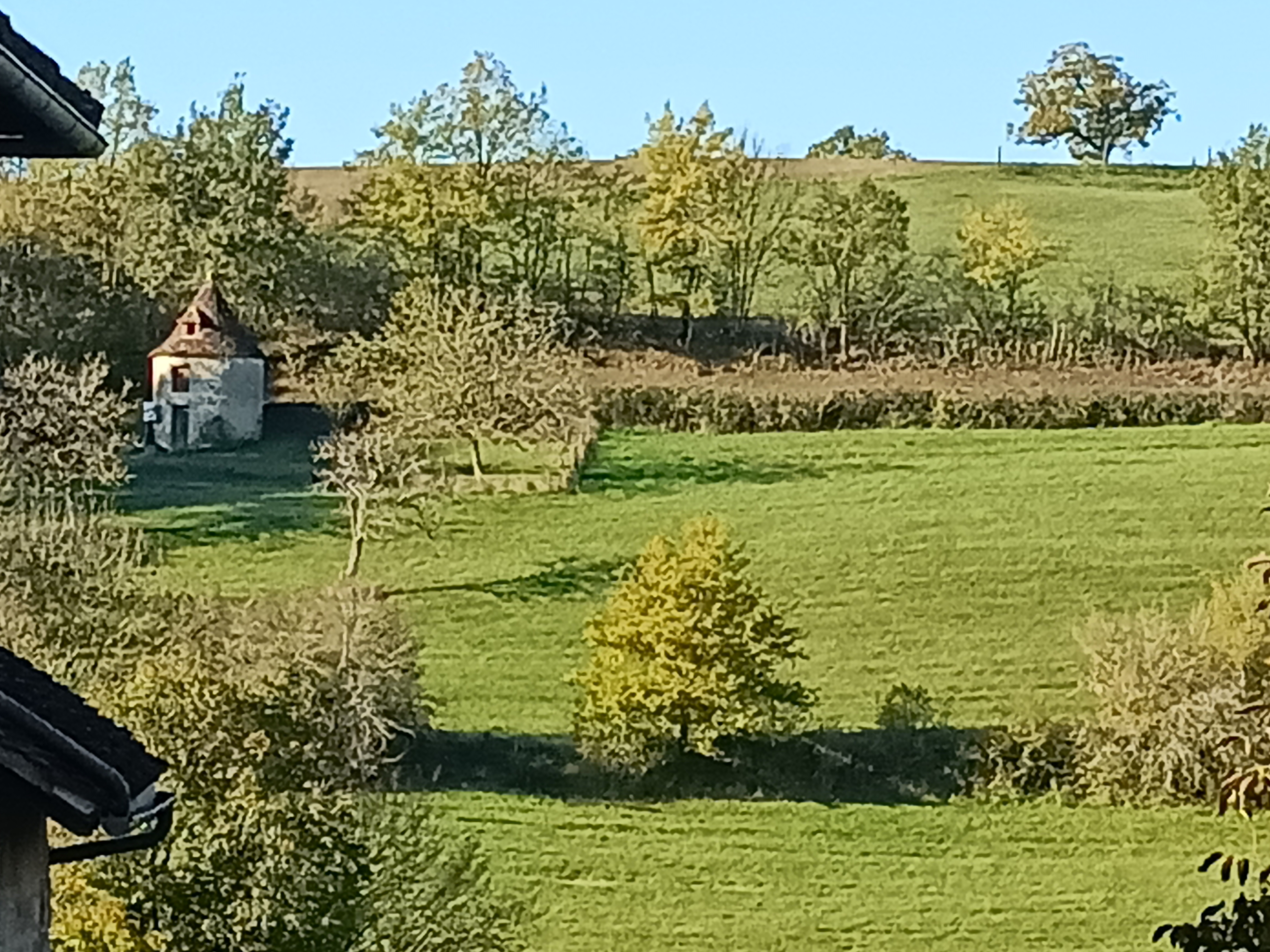 Photo n° 12 de l'avis de Céline.a fait le 15/11/2022 à 13:41