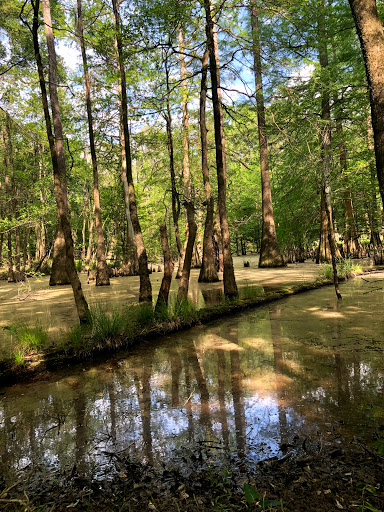 Nature Preserve «Frenchtown Rd Conservation Area», reviews and photos, 17819 Frenchtown Rd, Central, LA 70739, USA